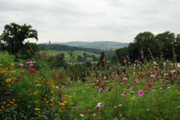 The English countryside