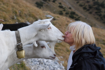 Dagmar kissing goat
