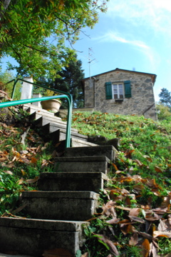 House in the woods outside of Lucca